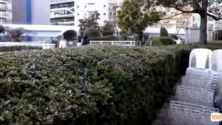 Al&amp;mdash;埃文&amp;middot;蕾切尔&amp;middot;伍德 粉嫩鲍鱼